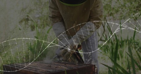 Holding smoker, beekeeper wearing gloves and helmet tending hive box in garden, with helix graphic