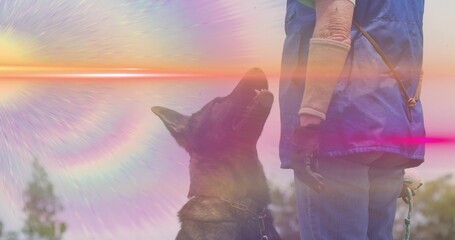 Holding leash, owner in blue vest training German shepherd in grassy clearing, with training sleeve