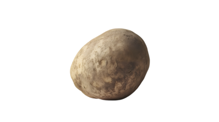 Dusty potato, isolated on white background