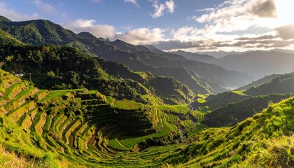Naklejka premium Early morning light bathes Philippines rice terraces cascading down mountain