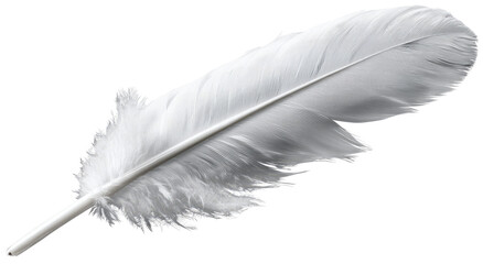 Obraz premium Single white feather, sharply detailed