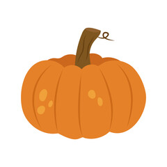 Ripe orange round pumpkin isolated on a white background. Autumn food. Vector flat illustration.