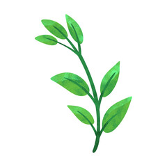 Leaves Illustration Watercolor Art Element