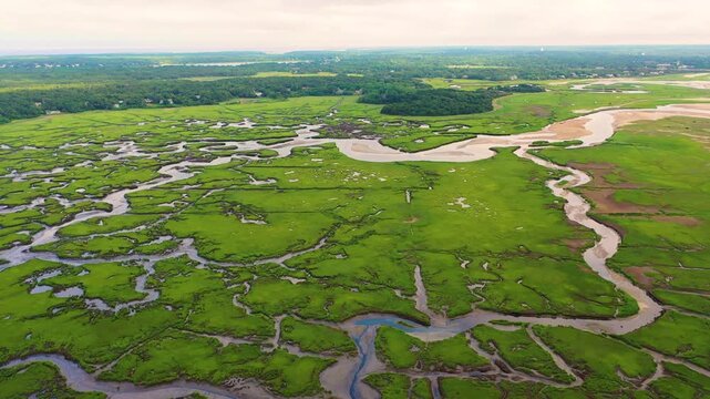 Drone video of Cape Cod marsh captures sandy inlets, reflective pools, and winding creeks cutting through lush grasses, offering a cinematic coastal perspective shaped by natural tides.
