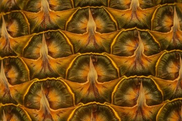 Fototapeta premium Extreme close-up of a pineapple skin showing its intricate geometric pattern and texture. Abstract and detailed macro background of a tropical fruit surface in yellow, green, and orange colors.