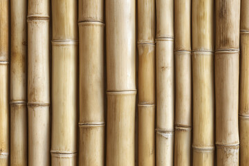 Fototapeta premium Wooden bamboo texture surface brown vertical lines natural material