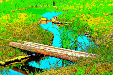 丸太の橋と水路