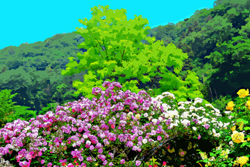 バラの花と新緑の木と青空
