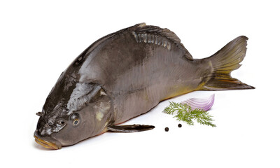 Świeży karp na białym tle