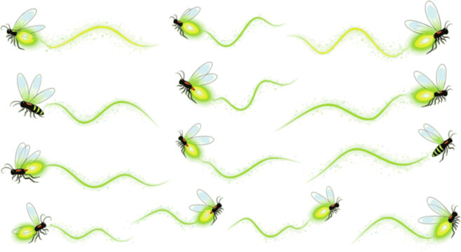 Firefly flying with trail clipart collection. Fireflies abstract illustration.
