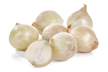 Biała cebula na białym tle