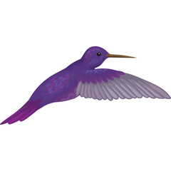 Purple hummingbird in flight on a transparent background with delicate light gray wings and detailed textured feathers in a dynamic pose symbolizing freedom and nature