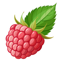 Illustration of a fresh raspberry with a leaf