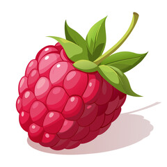 Illustration of a vibrant raspberry with leaves