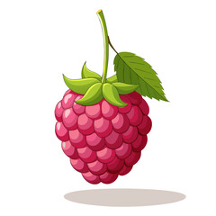 Illustration of a juicy raspberry with leaf