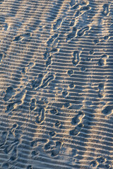 Footprints in the sand on a beach, sand background. Viareggio, Italy
