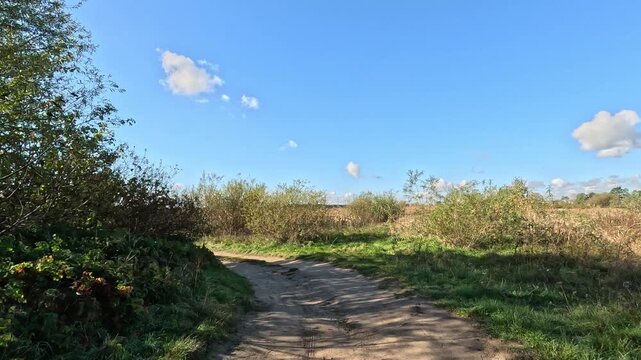 Handheld POV walk on a narrow dirt road on a sunny autumn day