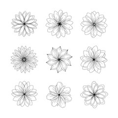 Obraz premium Elegant Floral Outlines - A Collection of Delicate Flower Illustrations.