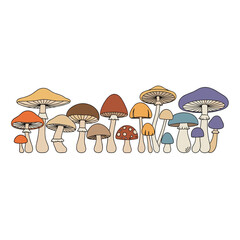 Diverse Mushroom Collection - A Colorful Array of Fungi.