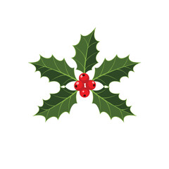 Festive Holly Berry Arrangement with Green Leaves.