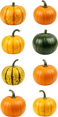 Colorful pumpkins in diverse varieties. autumn harvest vegetable collection