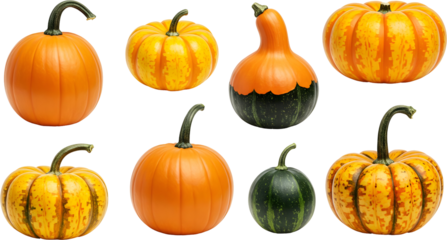 Colorful pumpkins in diverse varieties. autumn harvest vegetable collection