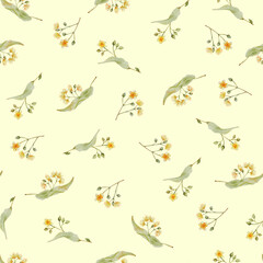Seamless pattern watercolor linden blossom