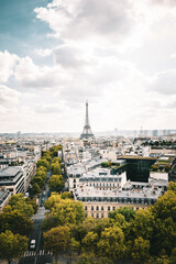 Scenic Paris Skyline with Eiffel Tower and Tree-lined Avenue