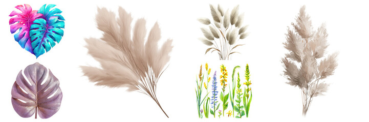 Creative floral botanical arrangement featuring colorful monstera leaves, pampas grass, and watercolor wildflowers, digitally isolated on transparent background