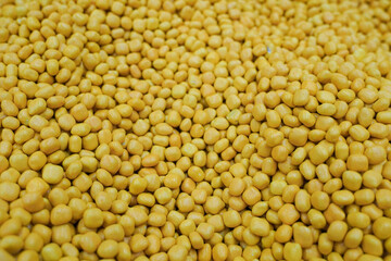 A mass of small, round, yellow pellets.