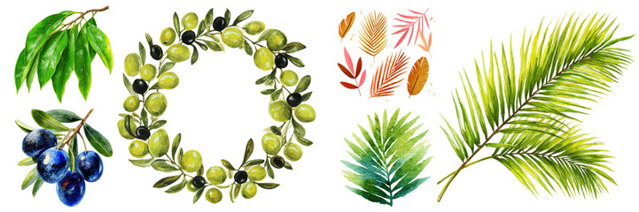 Watercolor collection featuring botanical elements like olives, wreaths, branches, and exotic leaves isolated on transparent background.