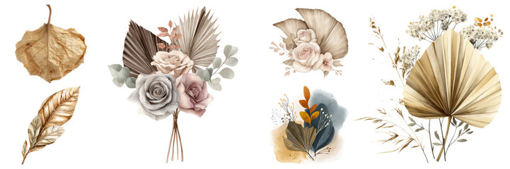 Elegant set of watercolor floral compositions with dried leaves, flowers, and petals arrangement isolated on transparent background
