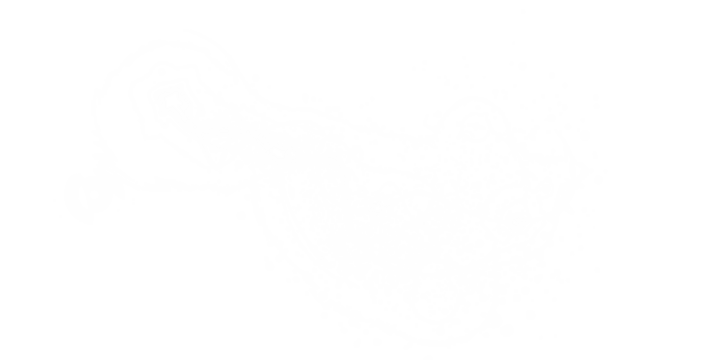 Png White Transparent Comet Tail Overlay PNG on transparent background - Powered by Adobe