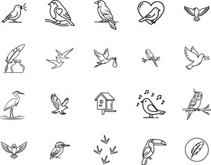 Collection of hand drawn sketch style birds and nature elements in black and white line art
