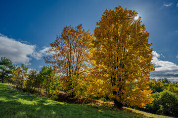 Herbstlaub und strahlende Sonne auf einem malerischen Hügel