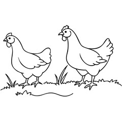 Fototapeta premium Line Art of Hens Walking in a Grass Field for Educational Materials, Illustrations, Kids Coloring Books, Farm-themed Designs, and Home Decor Ideas