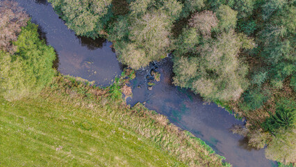 Grüner Fluss mit Steinen und Ufervegetation im Sonnenlicht