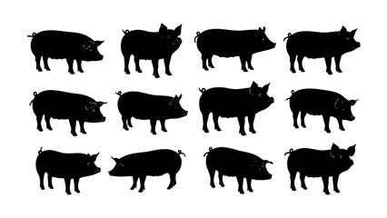 Twelve black pig silhouettes arranged in rows and columns on a white background, concept '432