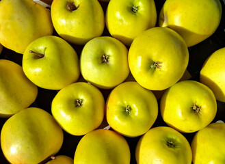 Close-up of stack of yellow apples at the greengrocer