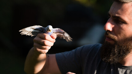 Man gently holds a small bird, wings outstretched. A moment of connection between nature and humanity.