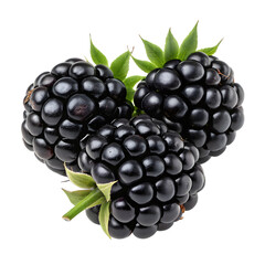 Three Glossy Blackberries with Green Leaves on Black Background fruit fresh