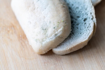 a slice of white bread covered with green mold, spoiled expired food