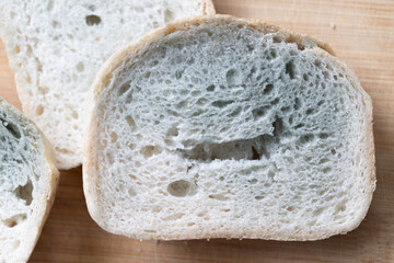 a slice of white bread covered with green mold, spoiled expired food