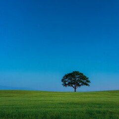 Obraz premium Lone tree stands on vast green field under clear blue sky in peaceful countryside setting