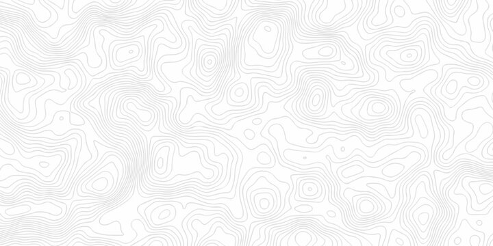 Abstract background with a wave grid map and topography map and seamless pattern with lines White wave paper curved reliefs abstract background, Abstract topographic contours map background.	