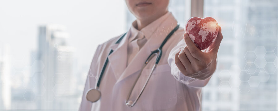 Medical tech and World Heart Day concept with cardiologist doctor surgeon holding heart in hospital cardiac cath lab for cardiovascular disease, coronary laboratory science AI technology research