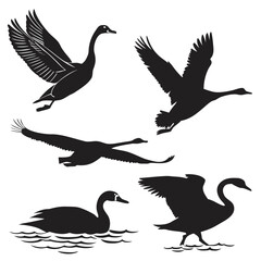 Vector art of swan silhouette collection