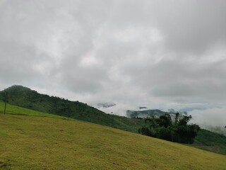 green view with mountain and foggy sky on background