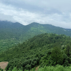Fototapeta premium mountain landscape with trees