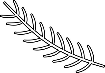 Fototapeta premium Pine needles outline vector isolated. Fir Branch coloring page and template. Coniferous Branch. Transparent background.